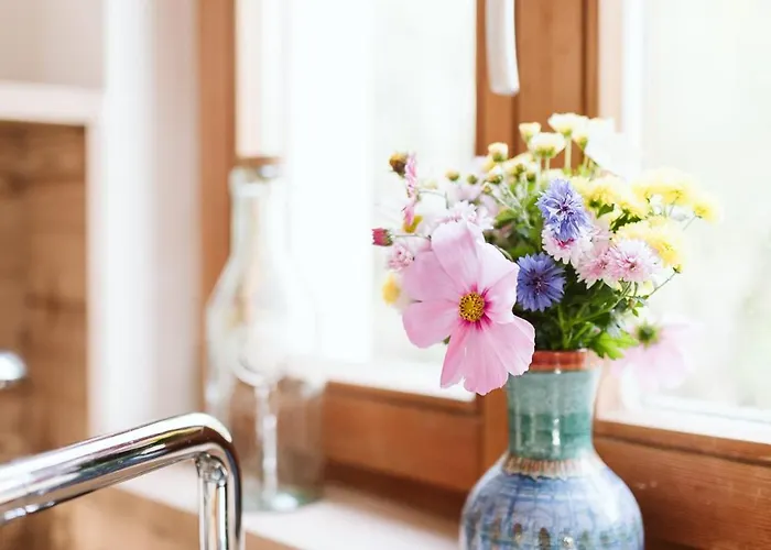 Mirnockahoi Millstaetter Ruhe Und Panorama * Ferndorf